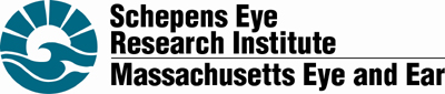 Schepens Eye Research